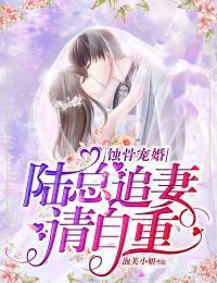 蚀骨宠婚：陆总追妻请自重